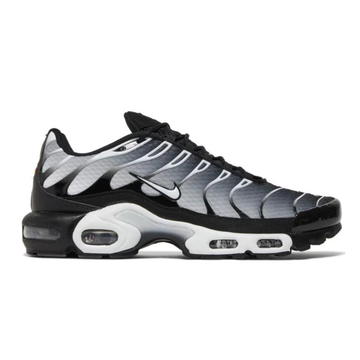Nike TN Air Max Plus Black Metallic Silver